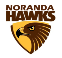 Noranda Hawks logo